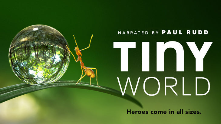 Tiny World