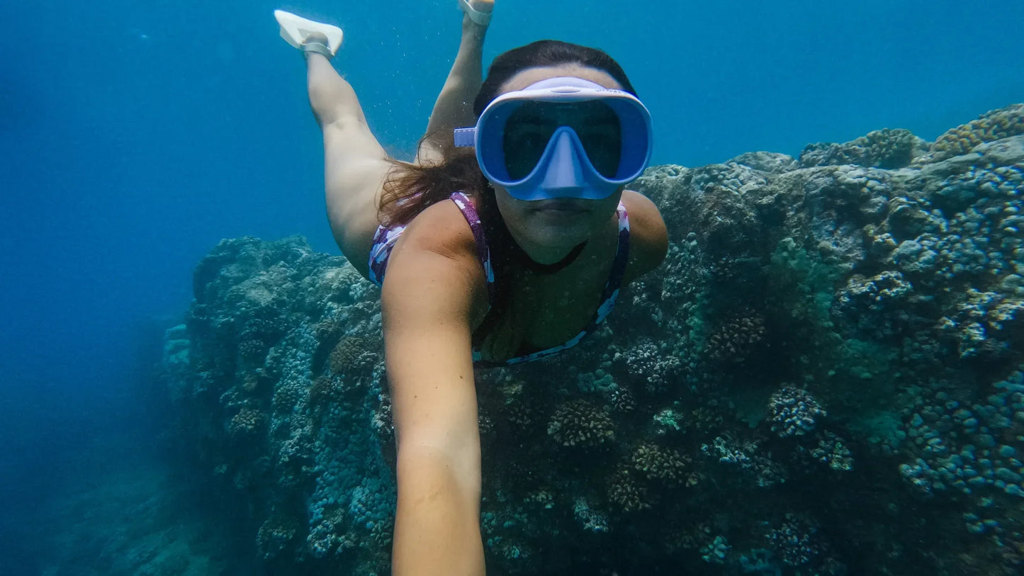 GoPro 3-Way 2.0
