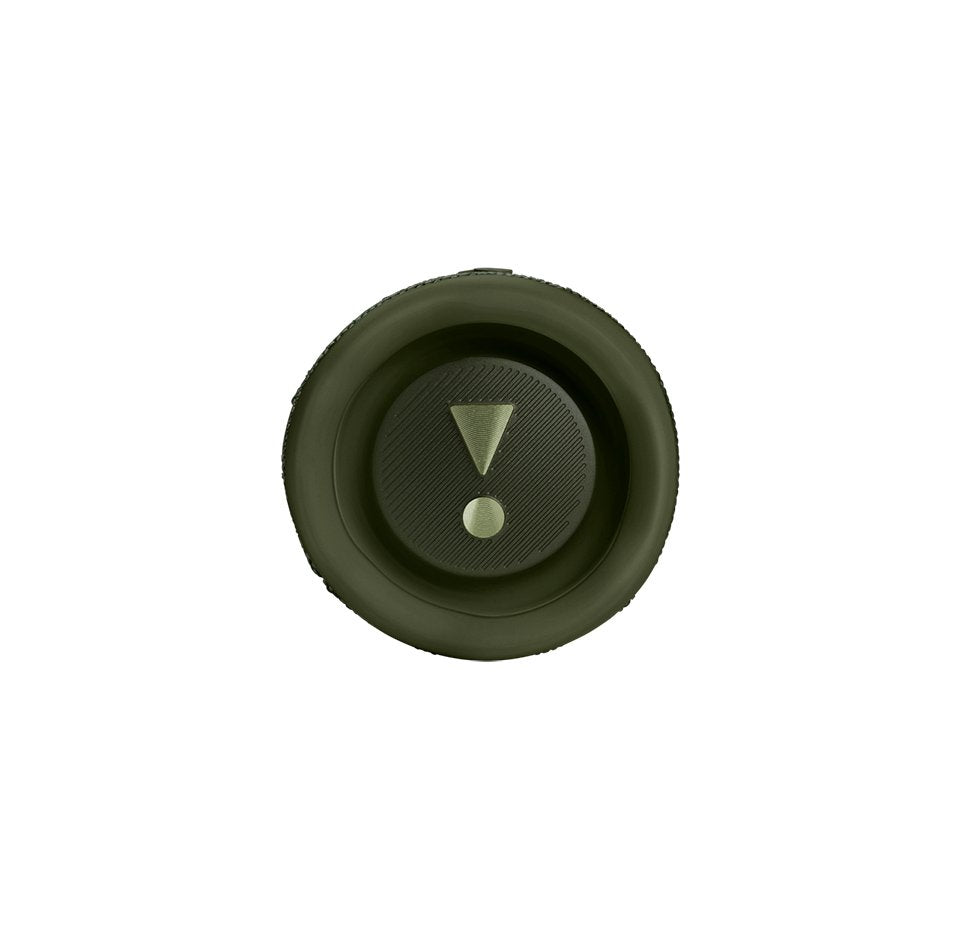 JBL Flip 6 Portable Bluetooth Speaker - Green
