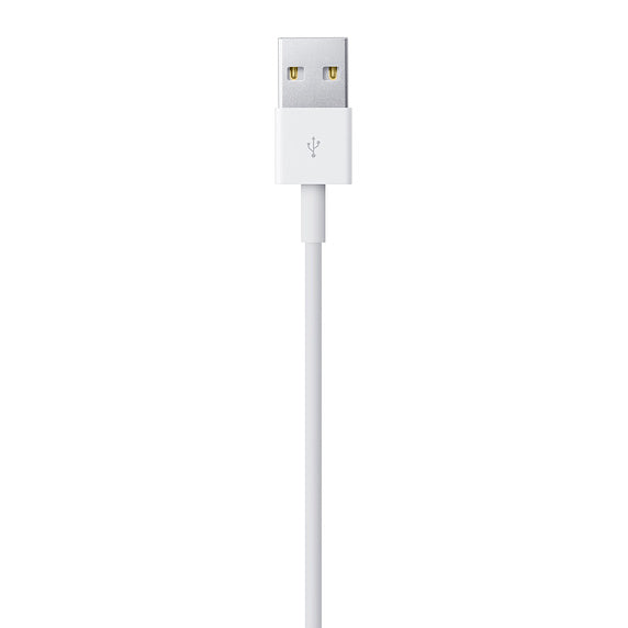 Lightning to USB Cable (2 m)