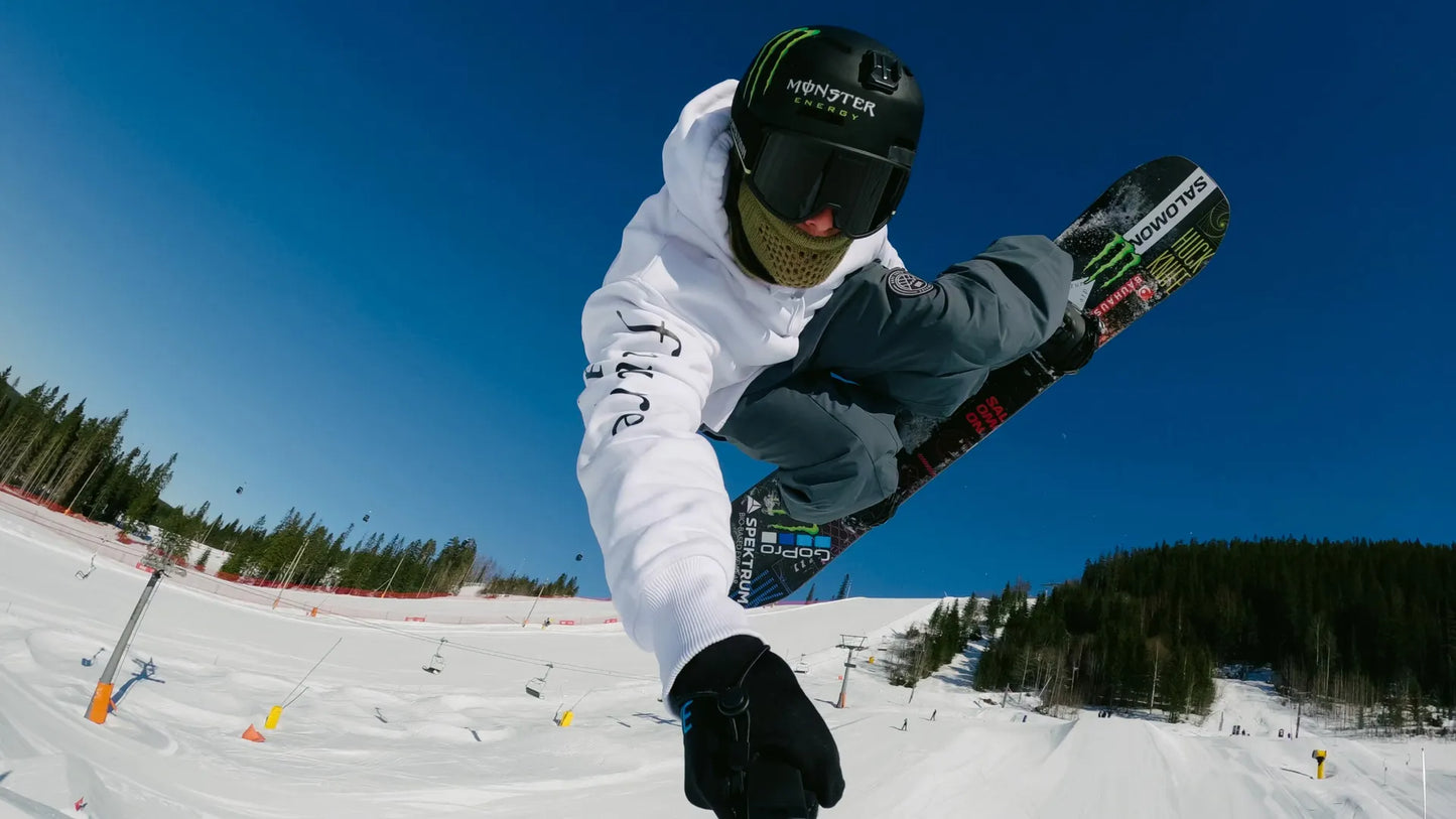 GoPro 3-Way 2.0