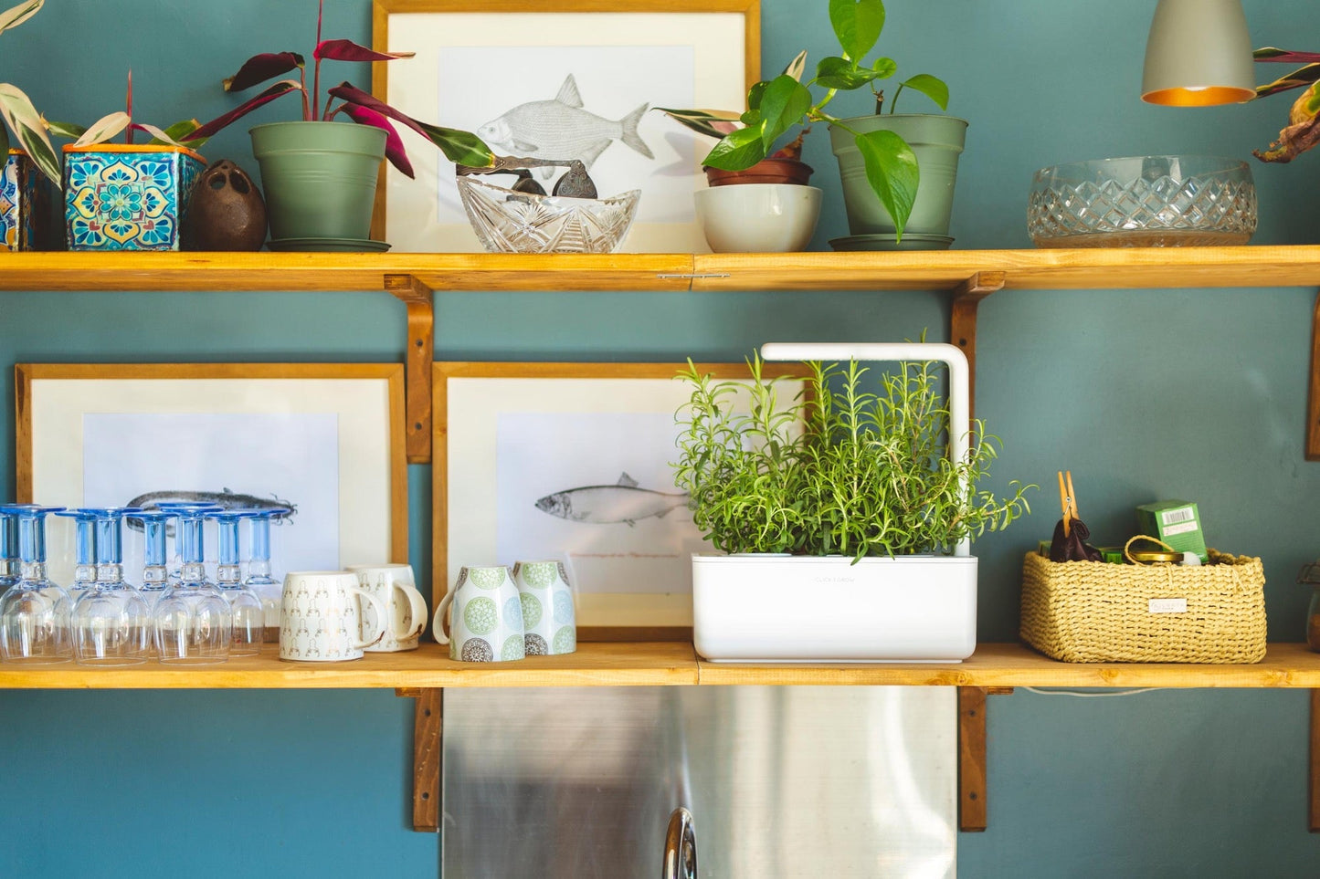 Click & Grow Smart Garden 3