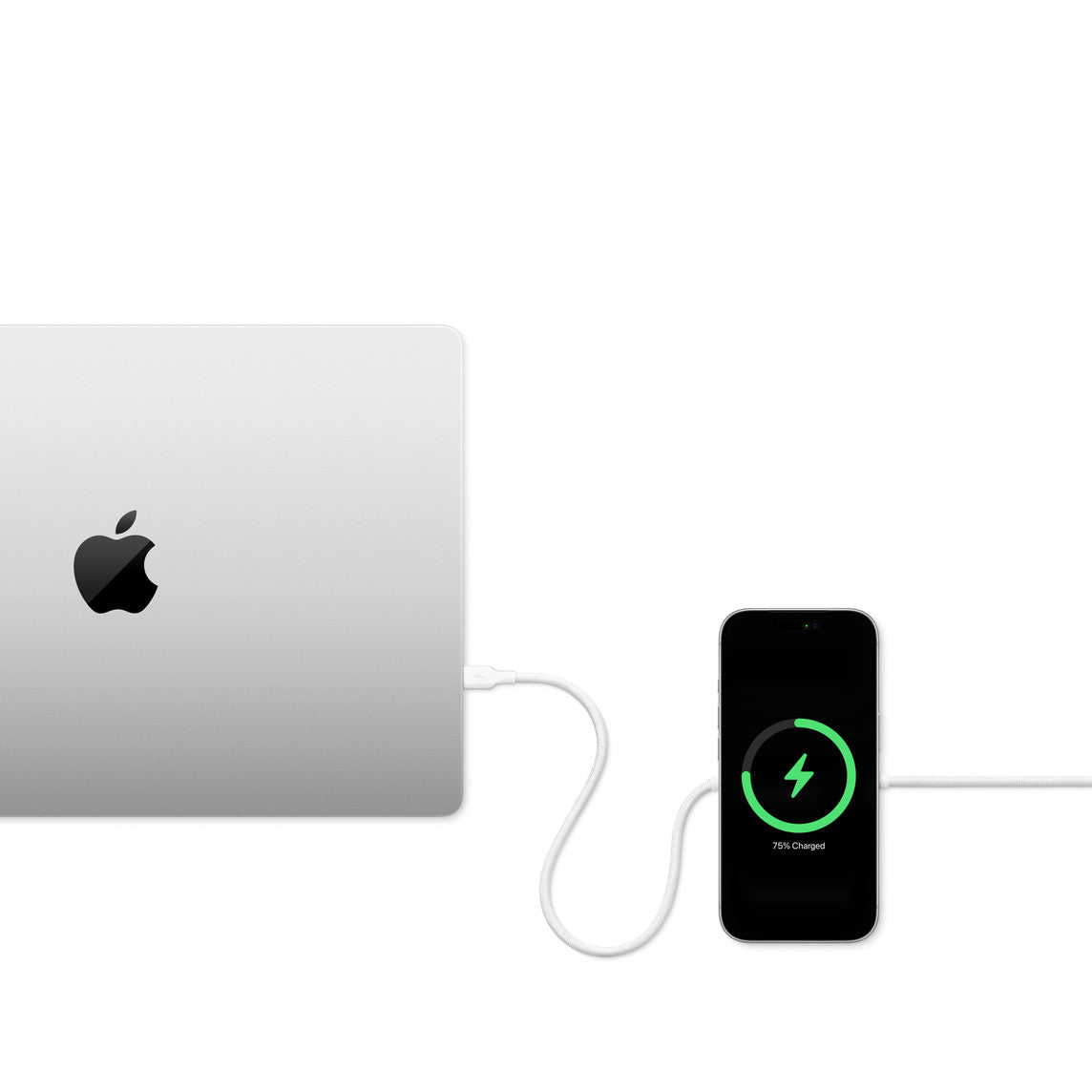 Zens Charging Cable USB C-C Pro 2 White