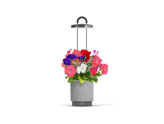 HydroVase by Ermonix - Grey