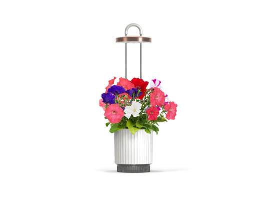 HydroVase by Ermonix - White