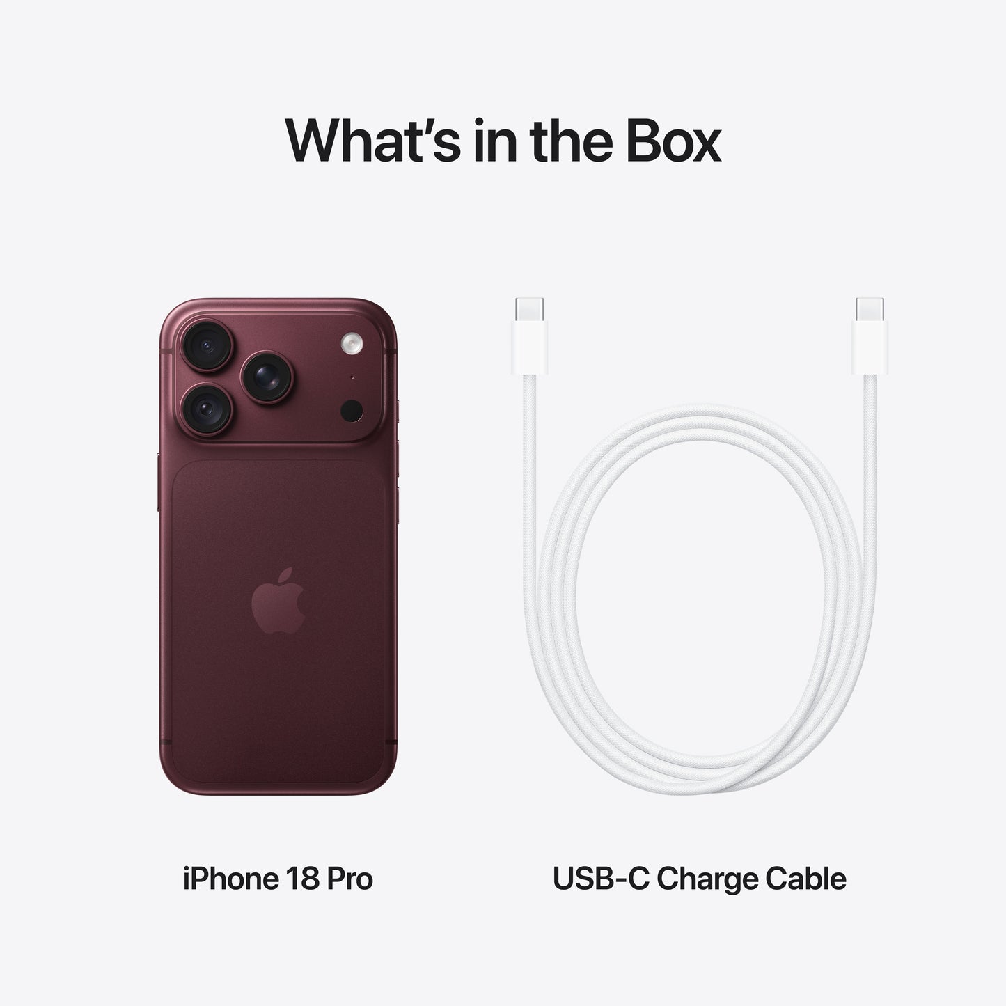 iPhone_18_Pro_Burgundy_PDP_Image_Position_9__en-WW